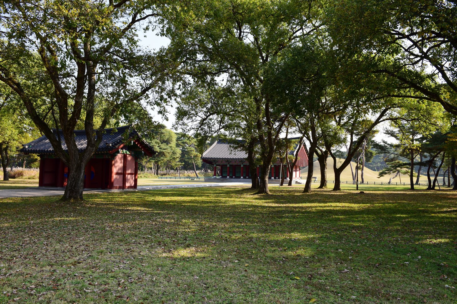Oreung de Gyeongju (Cinco Tumbas Reales)