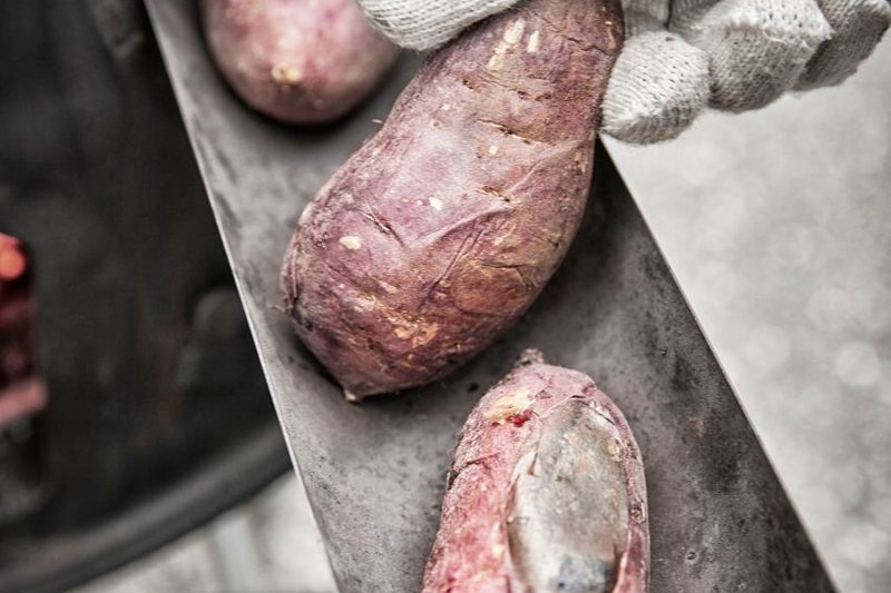 Pão de ovo, batata-doce e castanhas